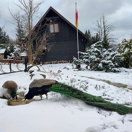 Beskidzka Ostoja Koszarawa Exterior foto