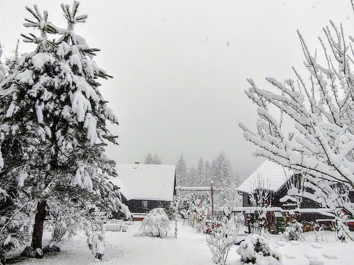 Beskidzka Ostoja Koszarawa Exterior foto