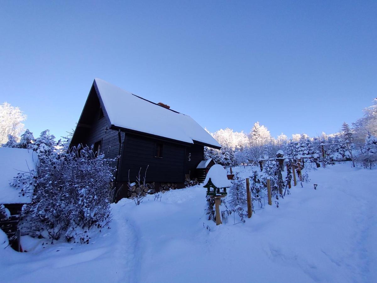Beskidzka Ostoja Koszarawa Exterior foto